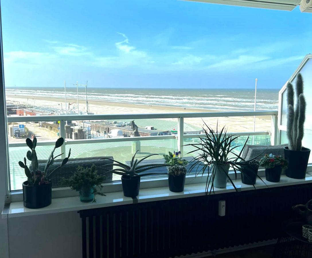 Apartment Fleurette Zandvoort Exteriér fotografie